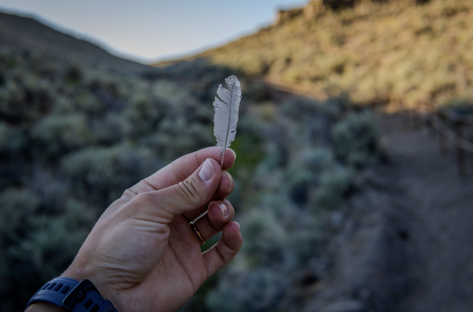 Public Lands and Private Waters